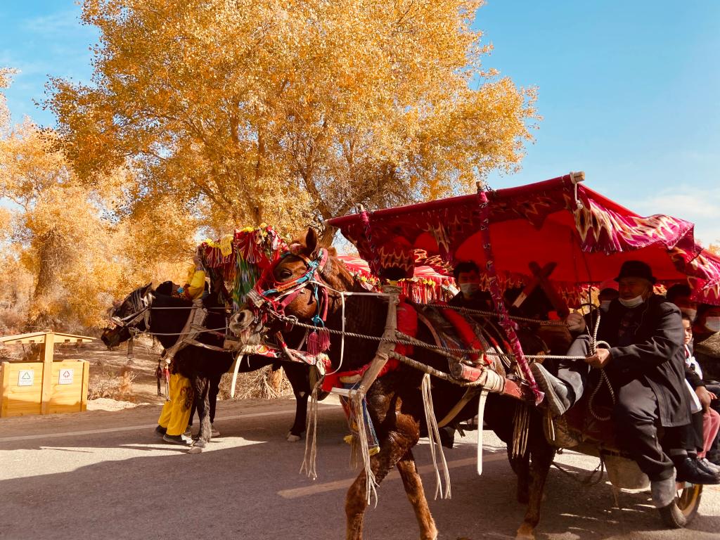 我院举办“石榴籽杯”摄影作品征集评选活动